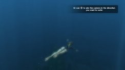 Tomb Raider: Underworld