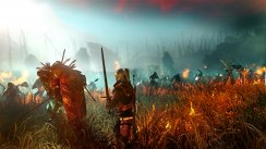 The Witcher 2: Assassins of Kings