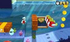 Super Mario 3D Land