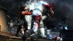 Ninja Gaiden 3