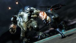Ninja Gaiden 3