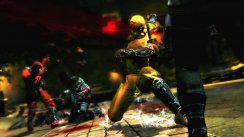 Ninja Gaiden 3