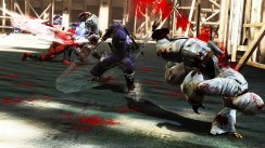 Ninja Gaiden 3