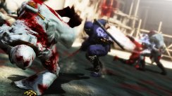 Ninja Gaiden 3