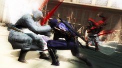 Ninja Gaiden 3