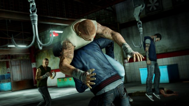 Sleeping Dogs