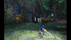 Sonic und die geheimen Ringe