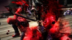 Ninja Gaiden 3