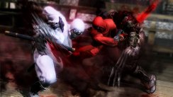 Ninja Gaiden 3