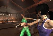 Dreamfall: The Longest Journey