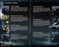Halo 3