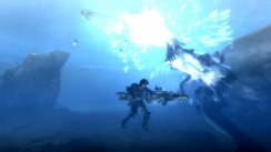 Monster Hunter Tri