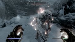 The Elder Scrolls V: Skyrim