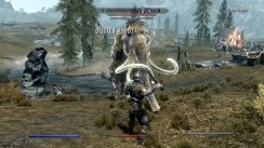 The Elder Scrolls V: Skyrim