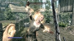 The Elder Scrolls V: Skyrim