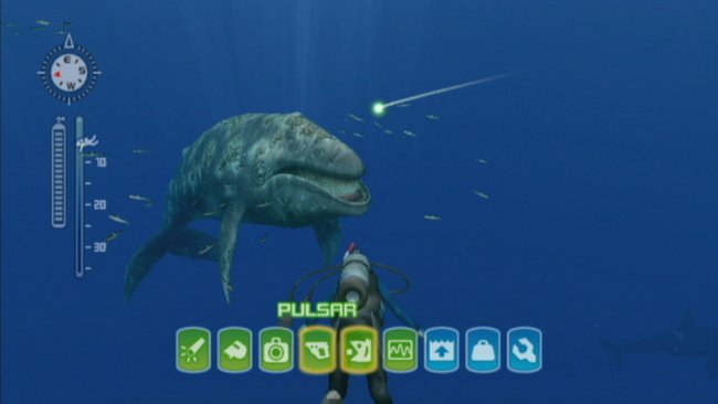 Endless Ocean 2: Der Ruf des Meeres