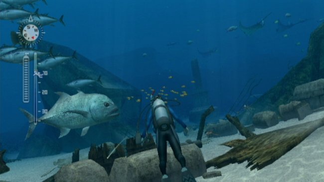 Endless Ocean 2: Der Ruf des Meeres