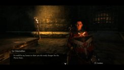 Dragon's Dogma