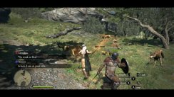 Dragon's Dogma