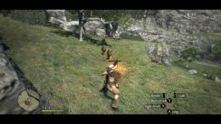 Dragon's Dogma