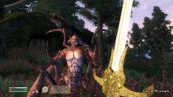 The Elder Scrolls IV: Oblivion