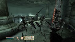 The Elder Scrolls IV: Oblivion