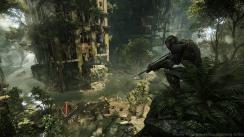 Lichtspiel im Crysis-Dschungel