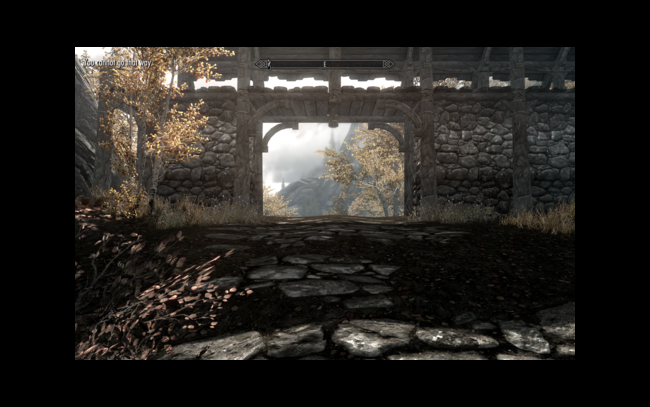 The Elder Scrolls V: Skyrim