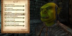 The Elder Scrolls IV: Oblivion