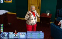 Die Sims 3