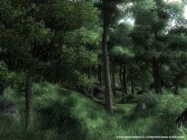 The Elder Scrolls IV: Oblivion