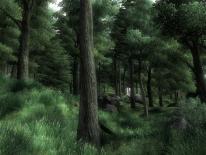 The Elder Scrolls IV: Oblivion