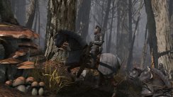 Erste Details zu War of the Roses