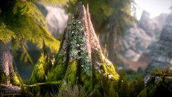 The Elder Scrolls V: Skyrim