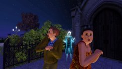 Die Sims 3