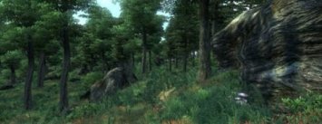 The Elder Scrolls IV: Oblivion