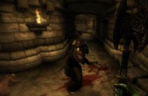 The Elder Scrolls IV: Oblivion