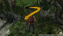 Uncharted: Golden Abyss