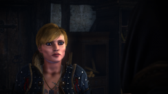 The Witcher 2: Assassins of Kings