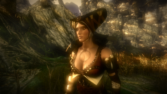 The Witcher 2: Assassins of Kings