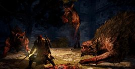 Dragon's Dogma