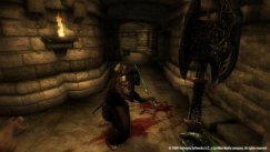 The Elder Scrolls IV: Oblivion