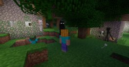 Minecraft