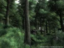 The Elder Scrolls IV: Oblivion