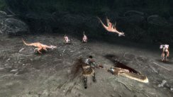 Monster Hunter Tri