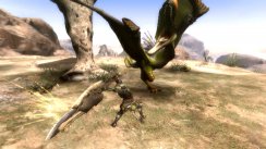 Monster Hunter Tri