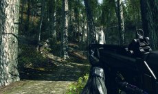 Crysis 2
