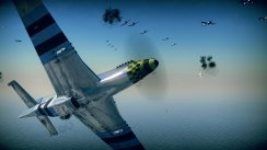 Birds of Steel