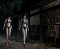 Project Zero 2: Crimson Butterfly