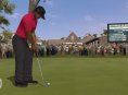Interview zu Tiger Woods 11